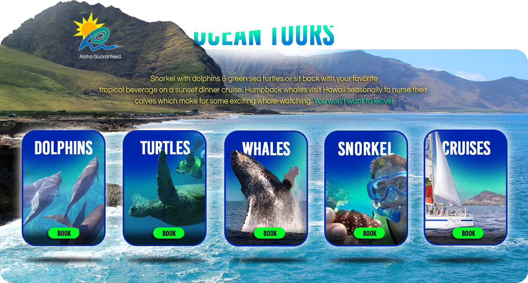 Ocean Tours